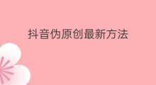 抖音伪原创最新方法 引流最新方法