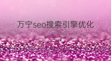万宁seo搜索引擎优化 学好seo搜索引擎优化