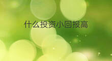 什么投资小回报高 投资回报率是什么