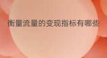 衡量流量的变现指标有哪些 跨境电商衡量指标有哪些