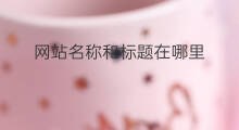 网站名称和标题在哪里 织梦网站标题在哪里