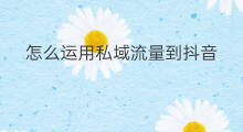 怎么运用私域流量到抖音 私域流量如何运用