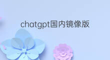 chatgpt国内镜像版本(国内chatgpt镜像)