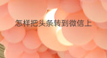 怎样把头条转到微信上 怎样把头条发到微信上