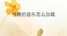 付费的音乐怎么加载 付费音乐怎么加载歌曲