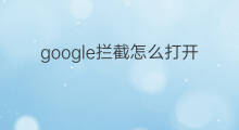 google拦截怎么打开 鸿蒙怎么打开google