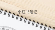 小红书笔记 小红书笔记数据