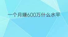 一个月赚600万什么水平 金融一个月赚7万什么水平