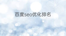 百度seo优化排名 海口百度seo优化排名