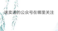 速卖通的公众号在哪里关注 速卖通的公众号在哪里找