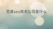 百度seo排名公司是什么 百度seo优化是什么排名