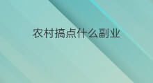 农村搞点什么副业 农村搞点什么副业比较赚钱