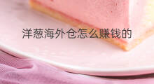 洋葱海外仓怎么赚钱的 洋葱海外仓怎么开店