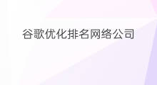 谷歌优化排名网络公司 网络公司如何赚钱