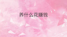 养什么花赚钱 快手什么花好养