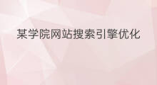 某学院网站搜索引擎优化 某网站搜索引擎优化