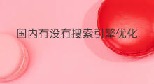 国内有没有搜索引擎优化 国内有哪些搜索引擎名称