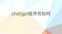 chatgpt程序员如何高效使用(程序员如何利用chatgpt赚钱)