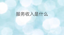 服务收入是什么 长沙快服务收入怎么样