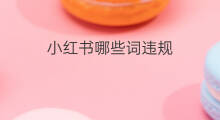小红书哪些词违规 小红书违规词查询