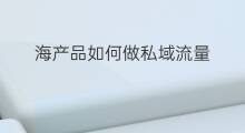 海产品如何做私域流量 如何应聘出海产品经理