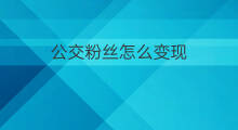公交粉丝怎么变现 怎么0粉丝变现