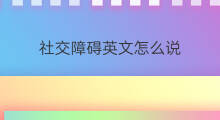 社交障碍英文怎么说 社交怎么说