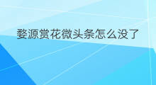 婺源赏花微头条怎么没了 微头条首页推荐怎么没了