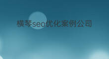 横琴seo优化案例公司 河源seo优化案例公司 横琴seo优化案例公司 河源seo优化案例公司