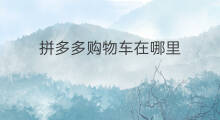 拼多多购物车在哪里 拼多多购物车在哪
