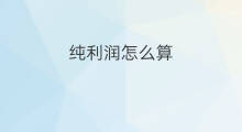纯利润怎么算 如何算纯利润