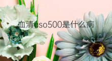 血清aso500是什么病 血清aso高是什么病