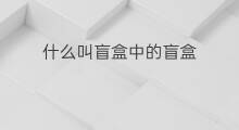 什么叫盲盒中的盲盒 什么叫粽子盲盒