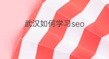 武汉如何学习seo 如何学习seo技术