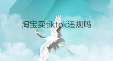淘宝卖tiktok违规吗 tiktok卖吗