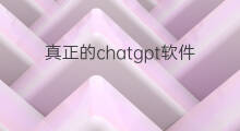 真正的chatgpt软件图标 chatgpt软件图标