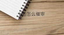 b站怎么催审 b站怎么催稿