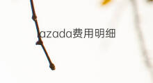lazada费用明细 lazada订单费用明细