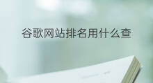 谷歌网站排名用什么查 怎么查网站在谷歌的排名