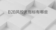 B2B风控类指标有哪些 b2b类的销售行业有哪些