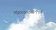 algorand哪个nft nft哪个好