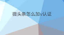 微头条怎么加v认证 微头条认证怎么加v