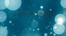 shopify怎么合并程序员 chatgpt程序员
