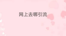 网上去哪引流 网上引流安全吗