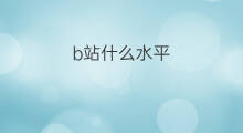 b站什么水平 什么水平B2B