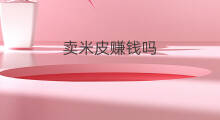 卖米皮赚钱吗 制皮赚钱吗