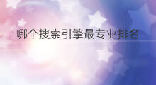 哪个搜索引擎最专业排名 哪个搜索引擎最火爆