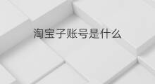 淘宝子账号是什么 淘宝如何设置子账号