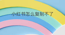 小红书怎么复制不了 小红书电脑怎么复制