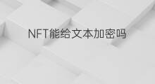 NFT能给文本加密吗 nft加密费用